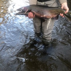 Outdoor Inn - Steelhead