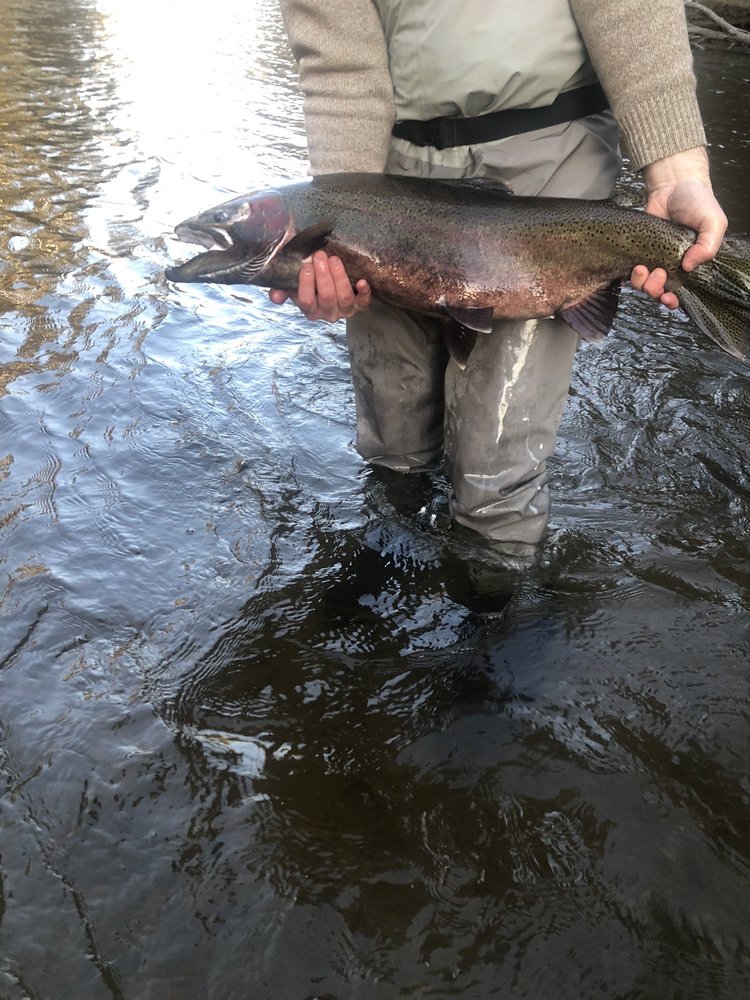 OUTDOOR INN Updated July 2024 10 Reviews 7176 S M 37, Baldwin, Michigan Hotels Phone