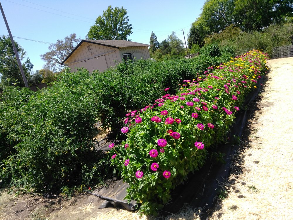 THE FARMACY NAPA VALLEY Updated August 2024 1550 Estee Ave, Napa, California Fruits