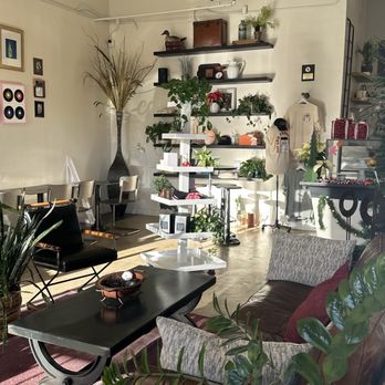Press Coffee - Coffee & Tea Near Me - San Antonio, Texas