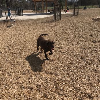 Cubby's Dog Park At Bernal - Happy Lab - Dog Parks Near Me - Pleasanton, California Cubby's Dog Park At Bernal - Happy Lab - Dog Parks Near Me - Pleasanton, California