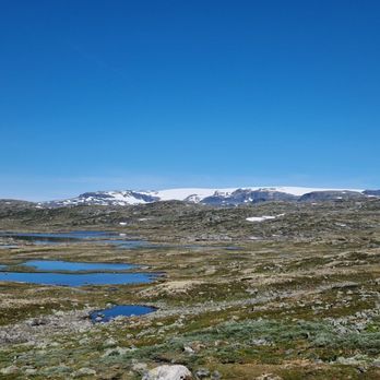 RL Outdoor - Fishingarea with the Hardangergjøkulen (glacier) in the background - Fishing Near Me - Eidfjord