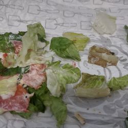 Wendy's - This is the lettuce that was on my sandwich Spoiled lettuce