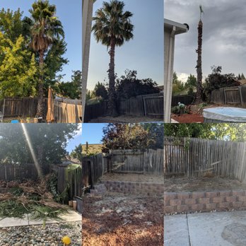 EG Tree Service - Tree Services Near Me EG Tree Service - Tree Services Near Me