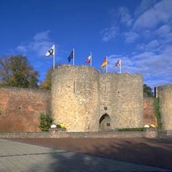Historial de la Grande Guerre