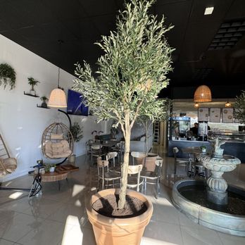Oliva - Inside - Salad Near Me - Lake Forest, California Oliva - Inside - Salad Near Me - Lake Forest, California