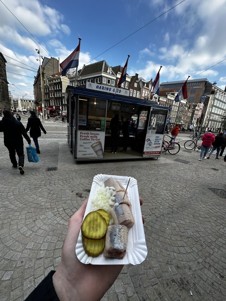 HARING & ZO 20 Photos & 10 Reviews Nieuwezijds Voorburgwal 200