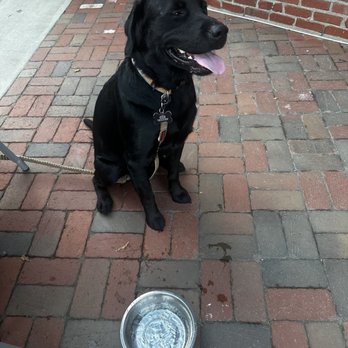 Recon Brewing At Meeder - Finn enjoyed his visit to Recon! - Breweries Near Me - Cranberry Township, Pennsylvania Recon Brewing At Meeder - Finn enjoyed his visit to Recon! - Breweries Near Me - Cranberry Township, Pennsylvania