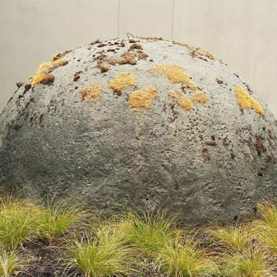 MariPili at Café Frieda by null