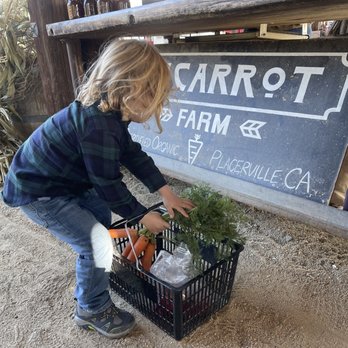 24Carrot Farm - Fruits & Veggies Near Me - Placerville, California 24Carrot Farm - Fruits & Veggies Near Me - Placerville, California