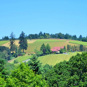 Higher Cellar - Wine Tours Near Me
