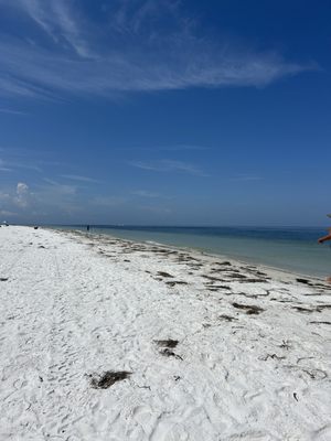 Bean Point Beach by null