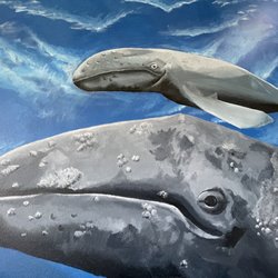Whale Watching Center - Whale mural @WhaleWatchingCenter.