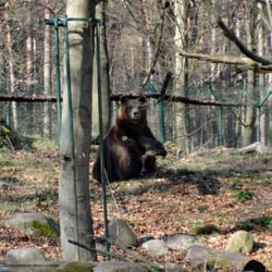 Tierpark Perleberg - Tierpark Perleberg