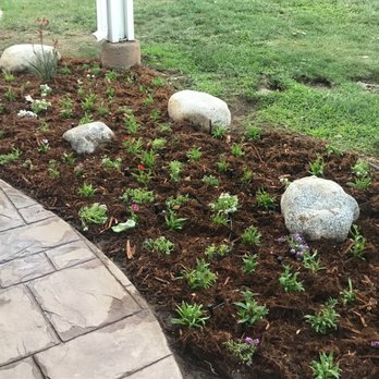 Dream Green Landscape - Planter installation - Landscaping Near Me - Thousand Oaks, California