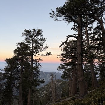 Mount San Gorgonio - Hiking Near Me Mount San Gorgonio - Hiking Near Me