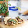 Tacology gift card