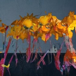 Kings Digital Photo - Flowers