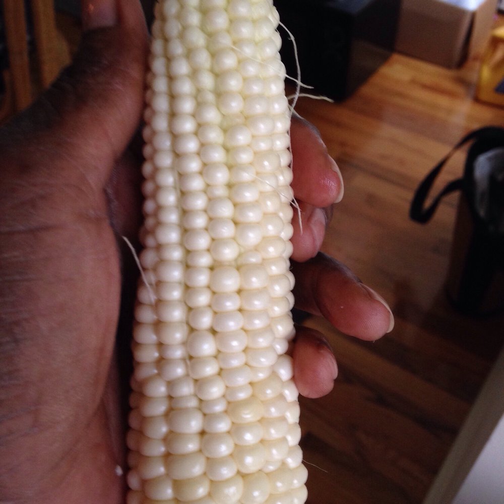 Donaldson Farms - Here's the small ear - Fruits & Veggies Near Me - Hackettstown, New Jersey