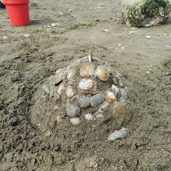 Howarth Park - Fun shell art by yours truly - Parks Near Me - Everett, Washington