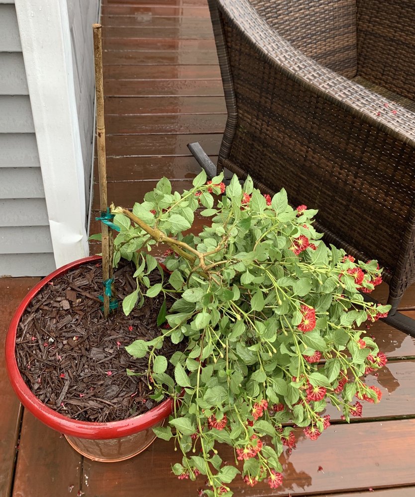 SEASONS GARDEN CENTER Landscaping 1069 River Rd, Washington