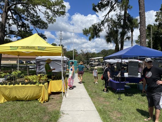 Beaches Green Market by null