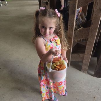 Showcase of Citrus - Bucket of vegetables, medium size for 12 bucks - Attraction Farms Near Me - Clermont, Florida