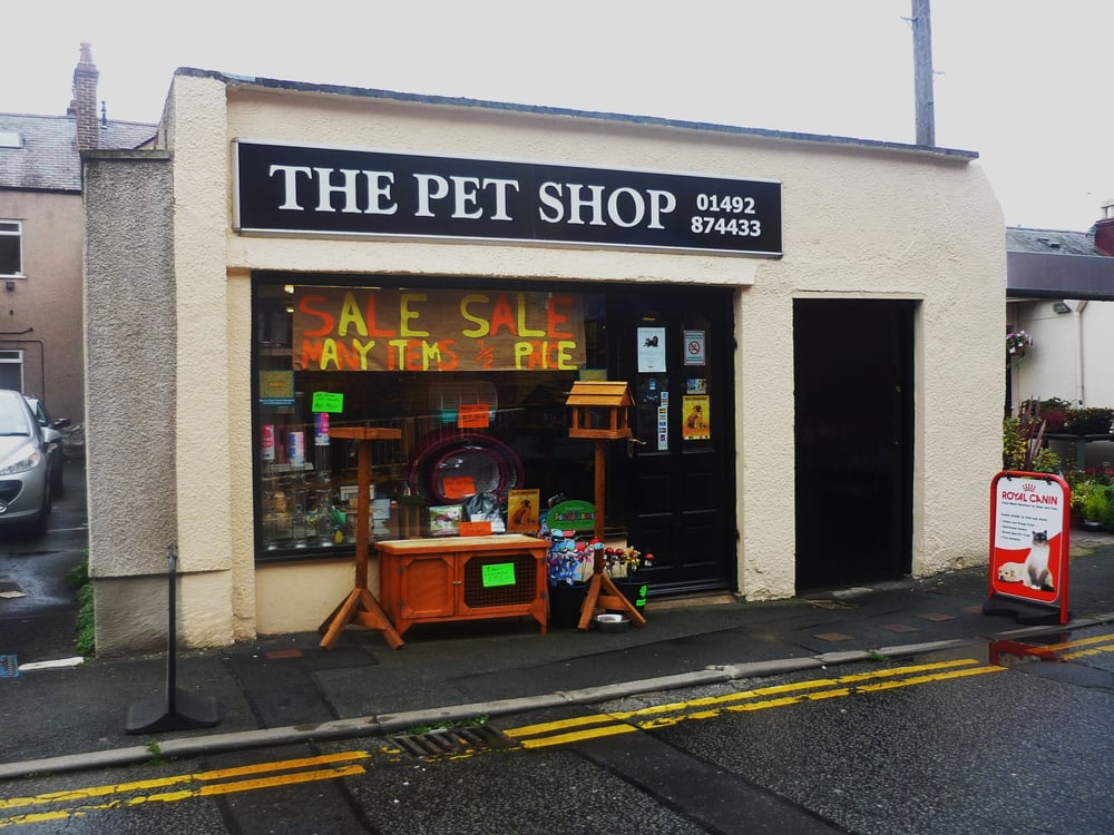 THE PET SHOP 22 Back Madoc Street, Llandudno, Conwy, United Kingdom