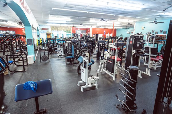 The Body Factory Health & Fitness Center by null