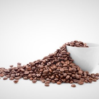 Bella Beans Cafe - THIS IS WHAT IM TALKING ABOUT GREAT BREWED COFFEE - Bakeries Near Me - Staten Island, New York