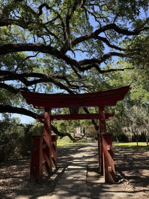 Jungle Gardens by null