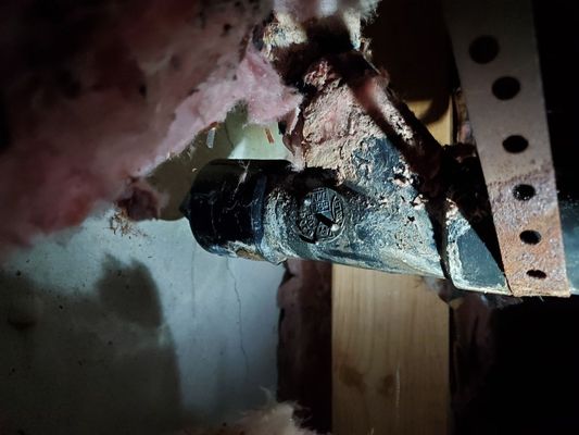 Bulldog Mechanical Logo