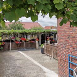 Athen Restaurant - Biergarten View von der Straße aus