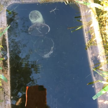 Lawn Enforcement Property Management - Our flooded box where the main irrigation ditch was. - Irrigation Near Me - Wesley Chapel, Florida