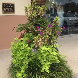 Pretty plant setup out front. Pretty plant setup out front.
