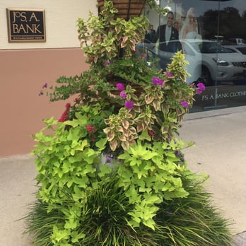 Jos A. Bank - Pretty plant setup out front. - Men's Clothing Near Me - DALLAS, Texas Jos A. Bank - Pretty plant setup out front. - Men's Clothing Near Me - DALLAS, Texas