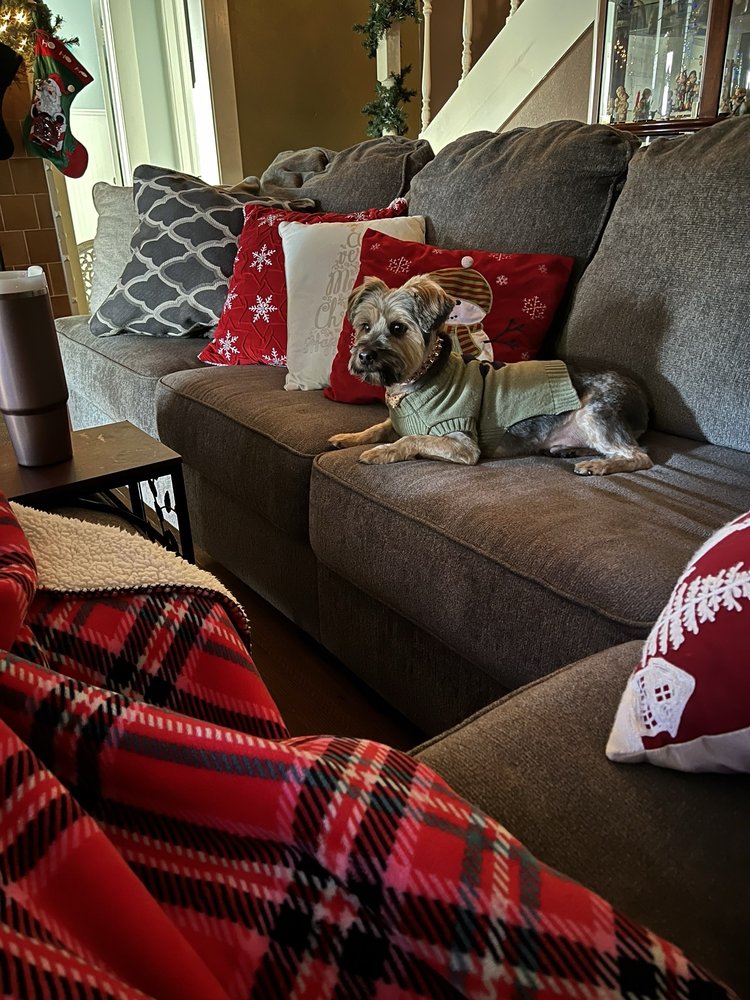 TIP TOP GROOMING Updated October 2024 5 W Central Ave, Temple