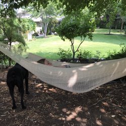 E'Laysa Guesthouse and Vineyard Retreat - Hammock outside