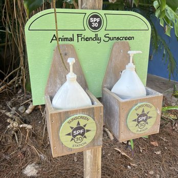 Discovery Cove - Sunscreen available - Amusement Parks Near Me - Orlando, Florida