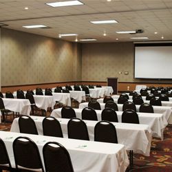 Holiday Inn Alexandria - Meeting Room