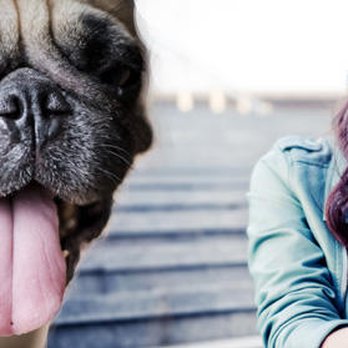 Companions For Life - Pet Cremation Services Near Me - Cedar Rapids, Iowa Companions For Life - Pet Cremation Services Near Me - Cedar Rapids, Iowa
