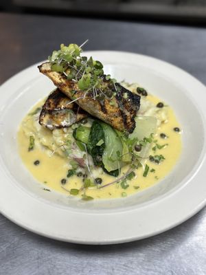 Blue Dragon Tavern & Cosmic Musiquarium by null