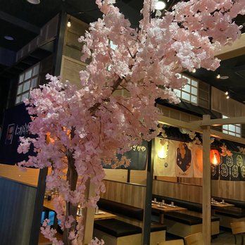 izakaya 68 - Inside - Sushi Bars Near Me - Cockeysville, Maryland