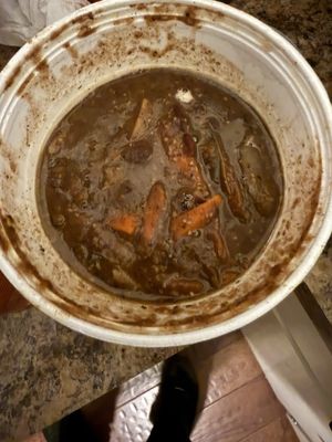 Caribee Jerk by null