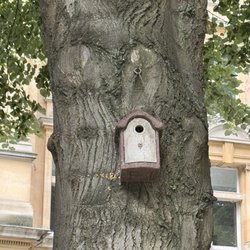 Finsbury Circus Garden - This garden pays attention to the details 6/28/25