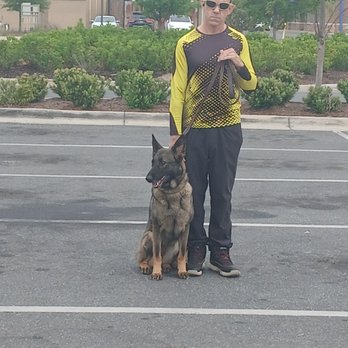 DoggFa k9 - Pet Training Near Me - Callaway, Florida DoggFa k9 - Pet Training Near Me - Callaway, Florida