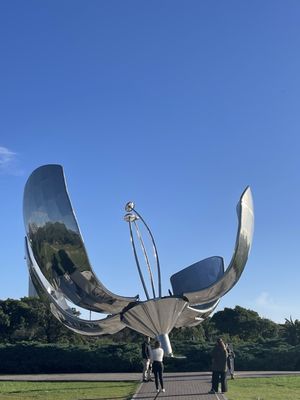 Floralis Generica by null