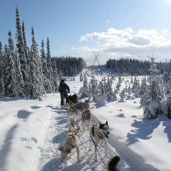 Dream a Dream Dog Farm