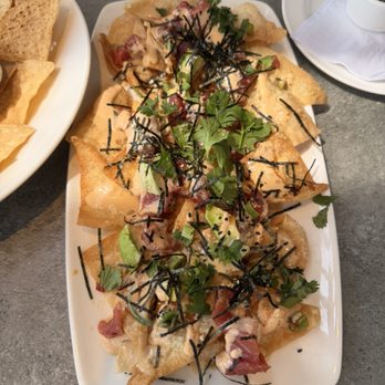 Yard House - Poke Nachos - Bars Near Me - Tampa, Florida Yard House - Poke Nachos - Bars Near Me - Tampa, Florida