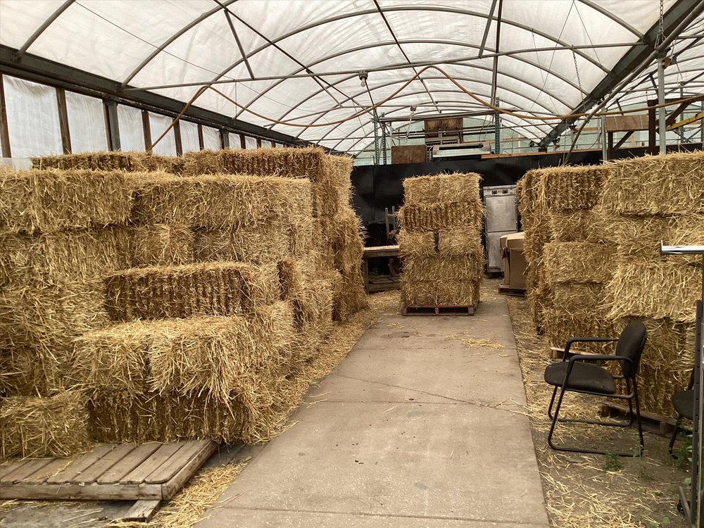 BUSY BEE NURSERY & GARDEN CENTER Updated September 2024 42 Photos & 18 Reviews 14109